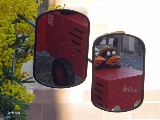 N&aum;chstes Bilder